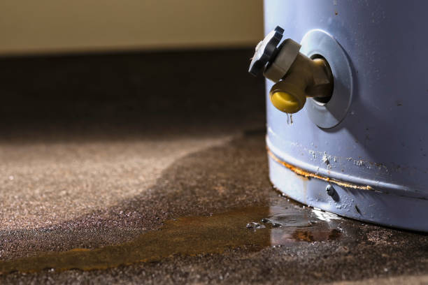 Best Carpet water damage restoration  in Hammonton, NJ