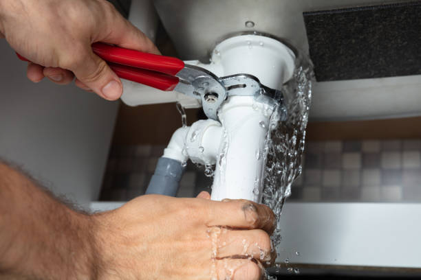 Best Sewage cleanup and water damage restoration  in Hammonton, NJ