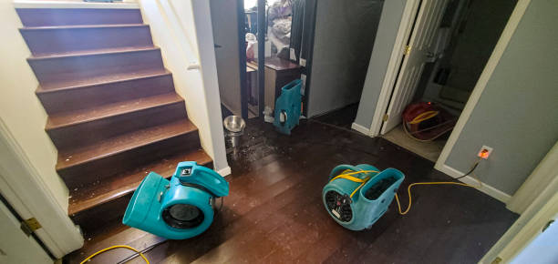 Best Mold removal after water damage  in Hammonton, NJ