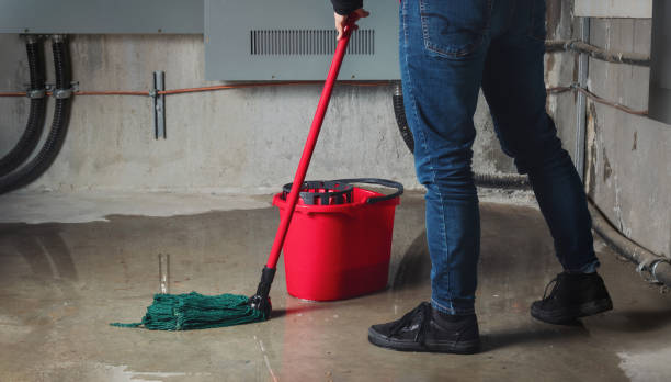 Best Water damage restoration near me  in Hammonton, NJ