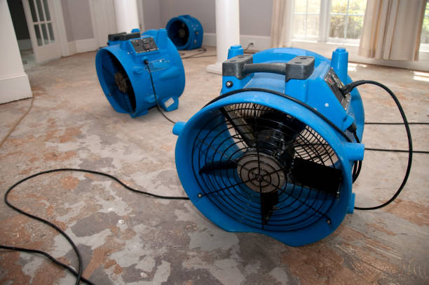 Best Residential water damage restoration  in Hammonton, NJ