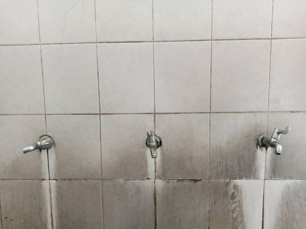 Best Emergency water damage restoration  in Hammonton, NJ