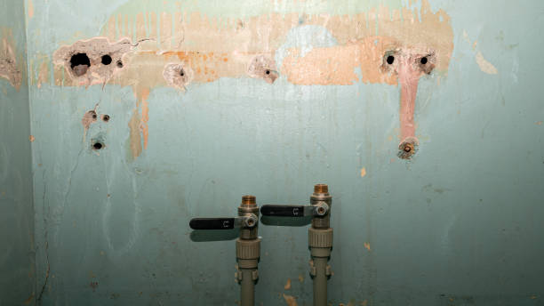Best 24-hour water damage restoration  in Hammonton, NJ