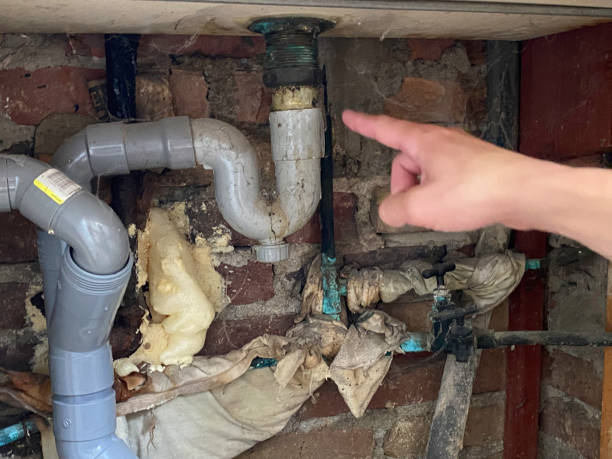 Best Ceiling water damage repair  in Hammonton, NJ