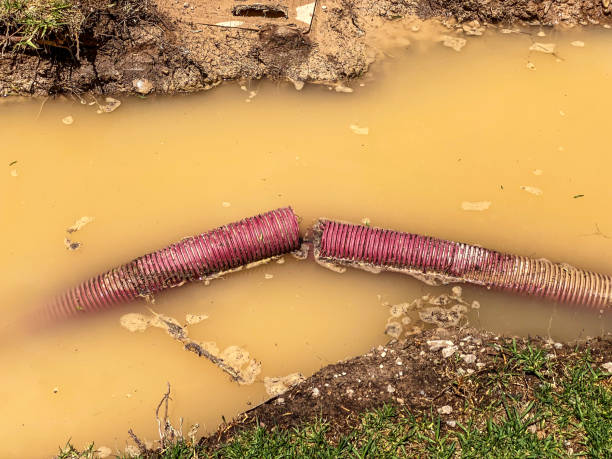 Best Flood damage cleanup  in Hammonton, NJ